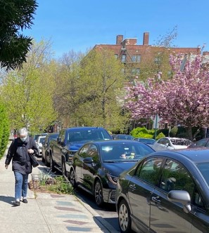 In this image, the foreground is full of darkly-tinted, parked cards. To the left is a person with grey hair, a white face mask, and a black jacket who is walking down the sidewalk toward the photographer. In the background are newly-budding trees, some that are green and others that are pink. Behind the trees is a brick building.