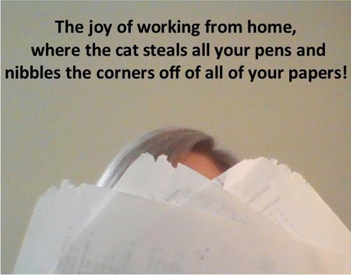 This image has black text at the top over a grey background; the text says "The joy of working from home, where the cat steals all your pens and nibbles the corners off all your papers!" At the bottom of the image is a light-haired person whose face is covered by fanned-out white papers with ragged corners.