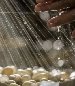 Water falls in a light sprinkle over lightly colored circular pebbles.On the upper right hand side, a hand reaches forward to touch the water before it can fall on the rocks.